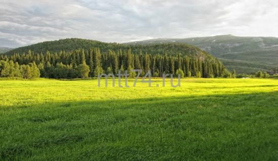 0_35232_9201386a_-2-XL